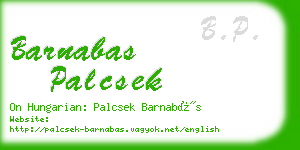 barnabas palcsek business card